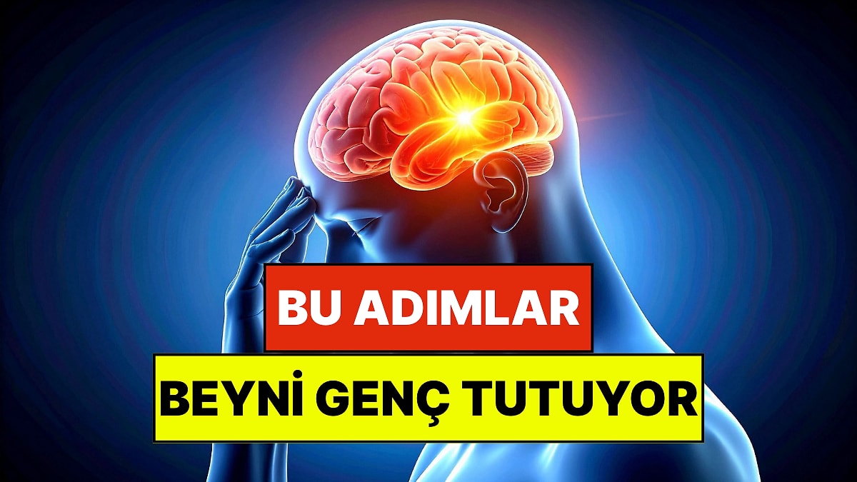 Harvard Doğruladı: Beyin Yaşlanmasını Yavaşlatmanın Bilimsel Yolları